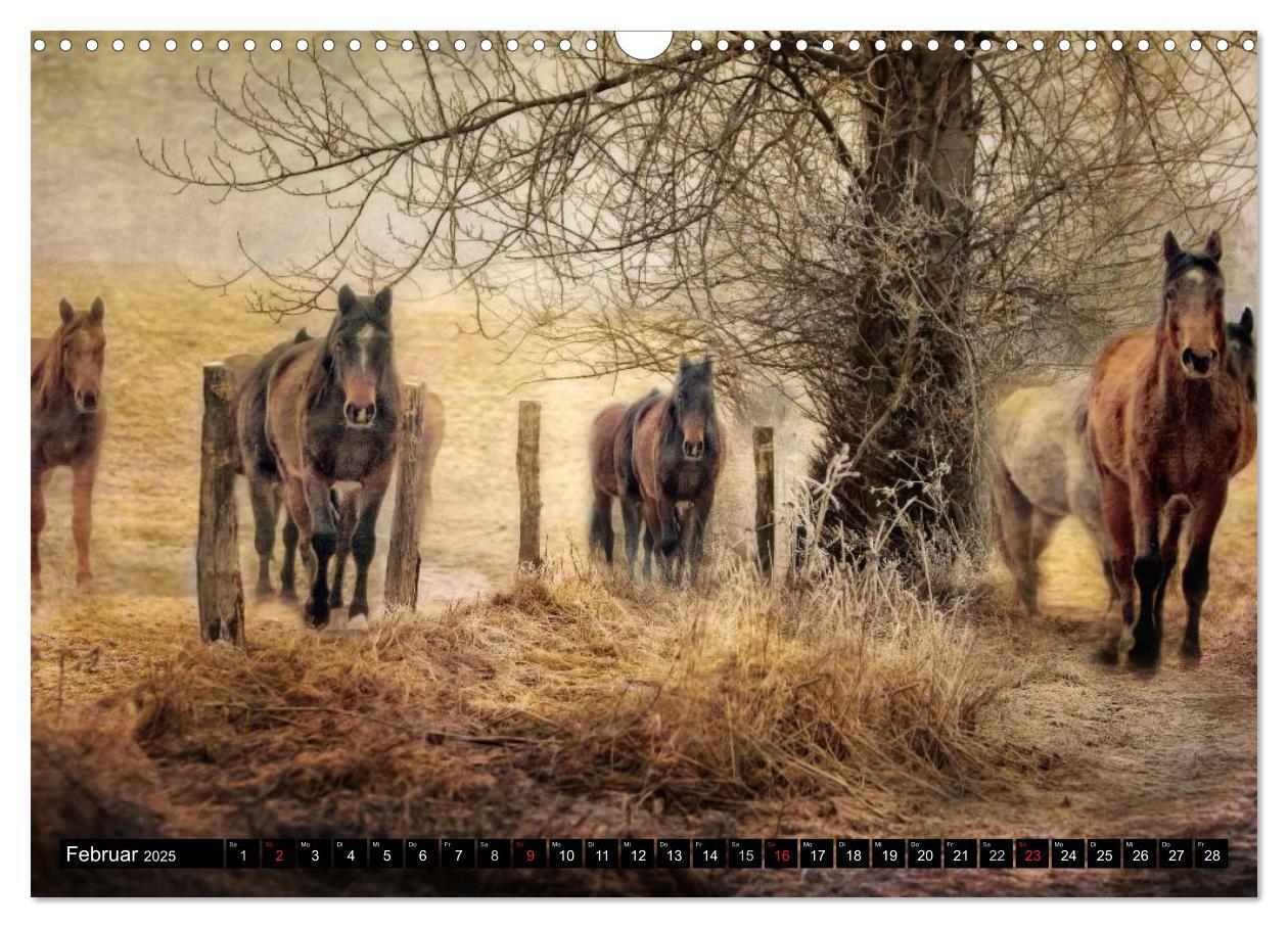 Bild: 9783435490103 | Western-Feeling (Wandkalender 2025 DIN A3 quer), CALVENDO...