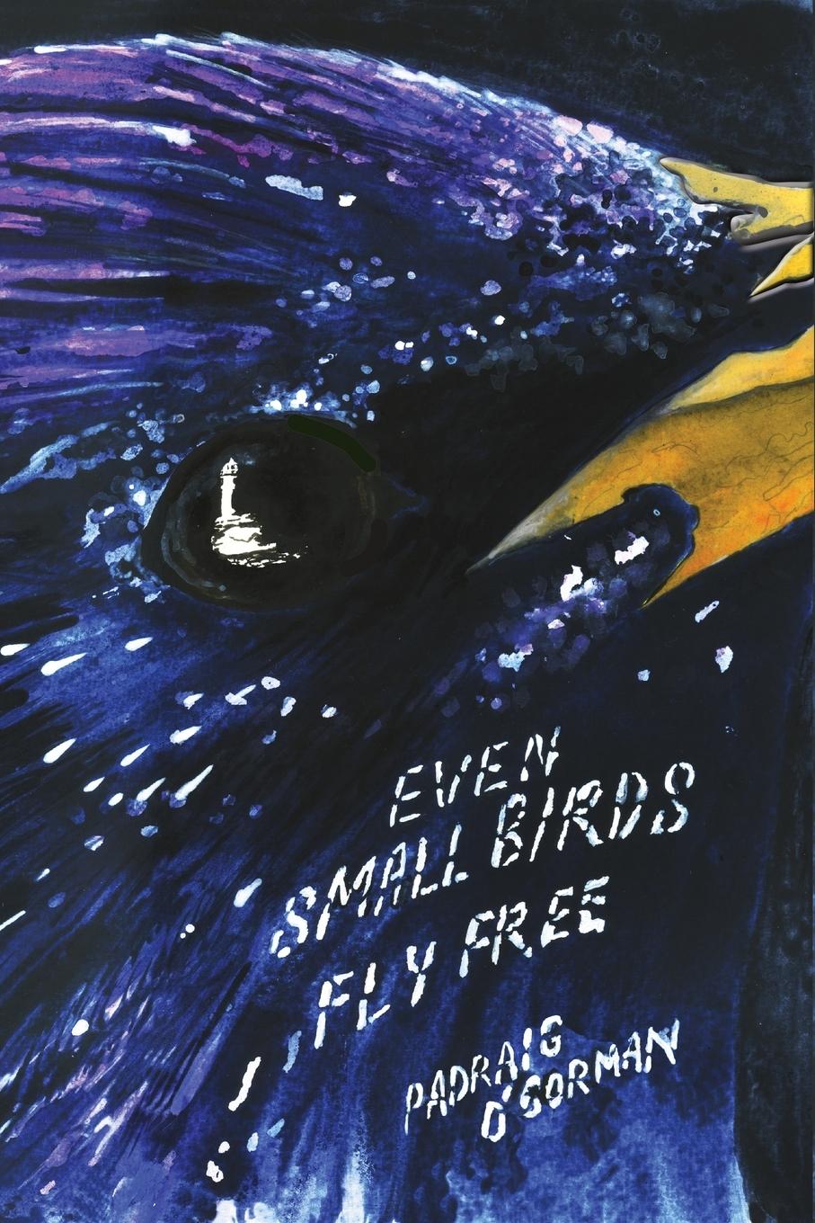 Cover: 9780995784307 | even small birds fly free | Pádraig O'Gorman | Taschenbuch | Englisch