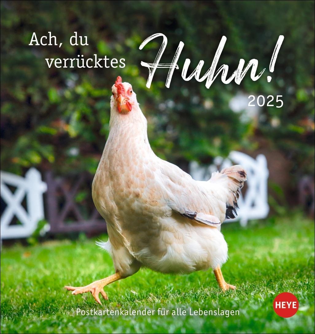 Cover: 9783756408573 | Hühner Postkartenkalender 2025 - Ach, du verrücktes Huhn! | Kalender