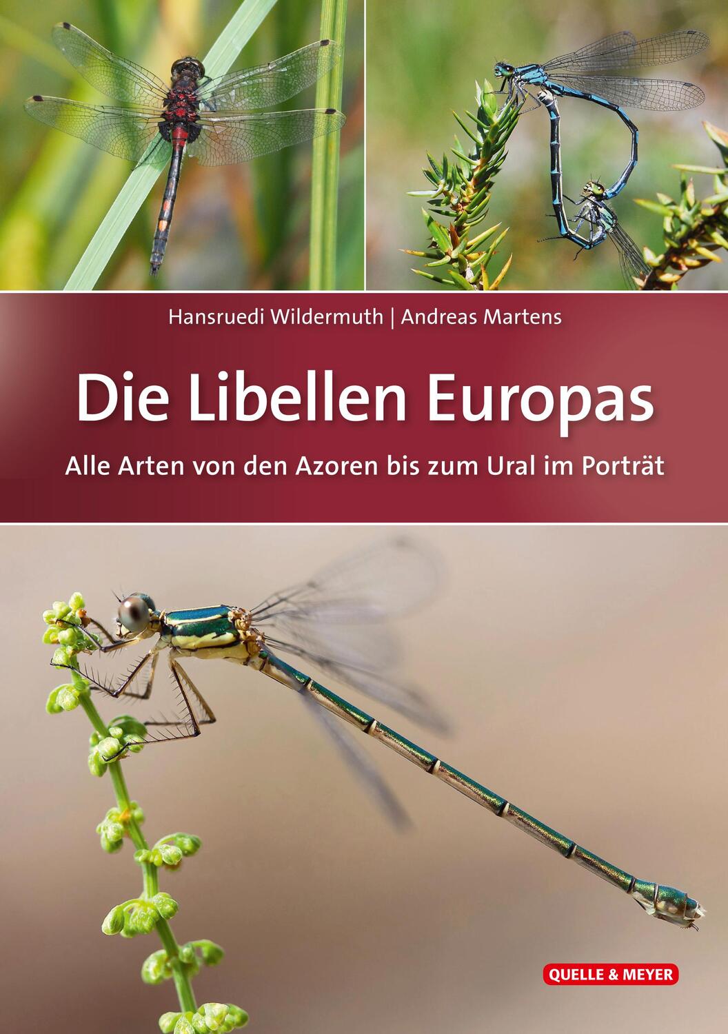Cover: 9783494016900 | Die Libellen Europas | Hansruedi Wildermuth (u. a.) | Buch | Deutsch