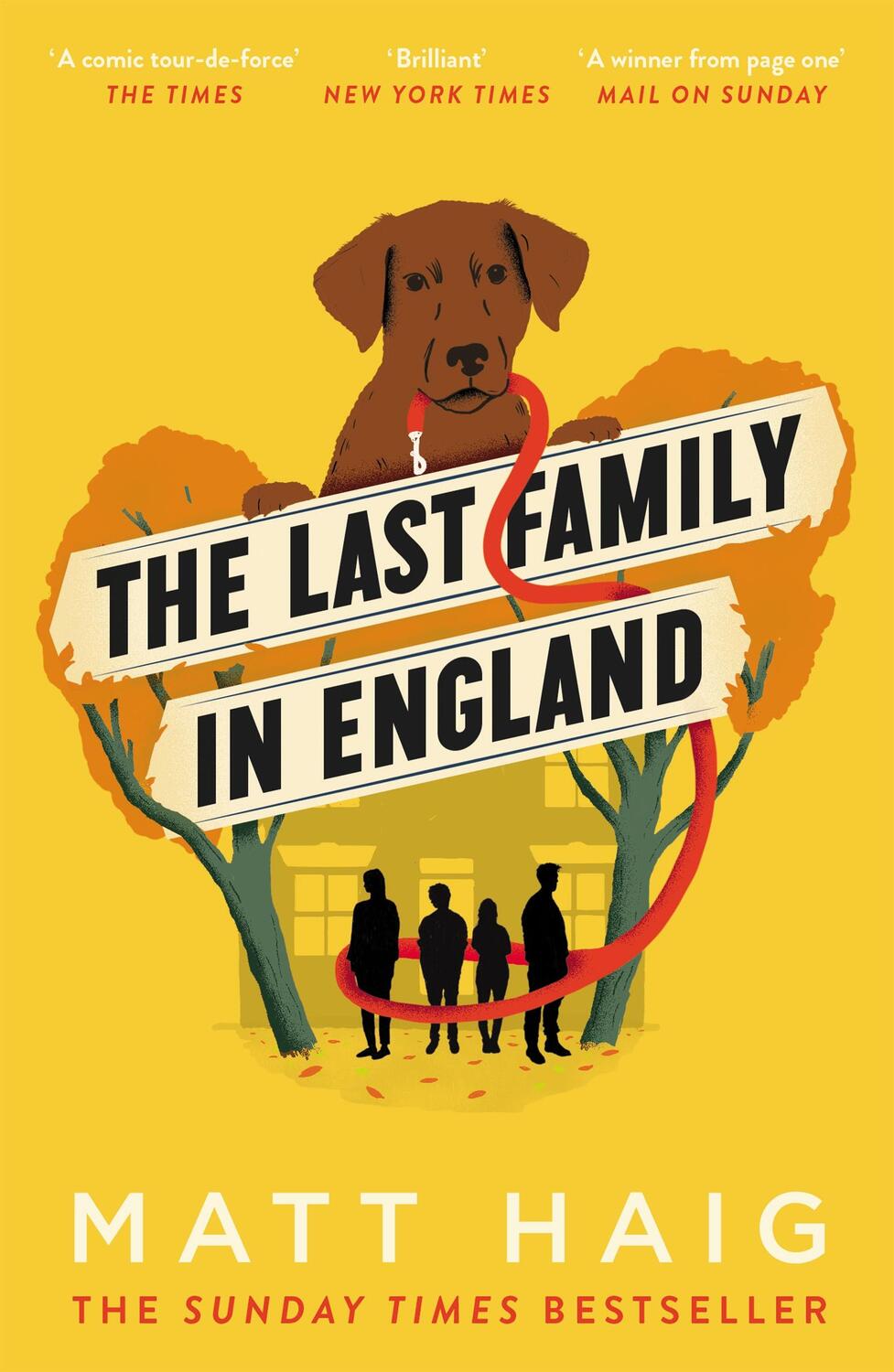 Cover: 9781786893222 | The Last Family in England | Matt Haig | Taschenbuch | Englisch | 2018