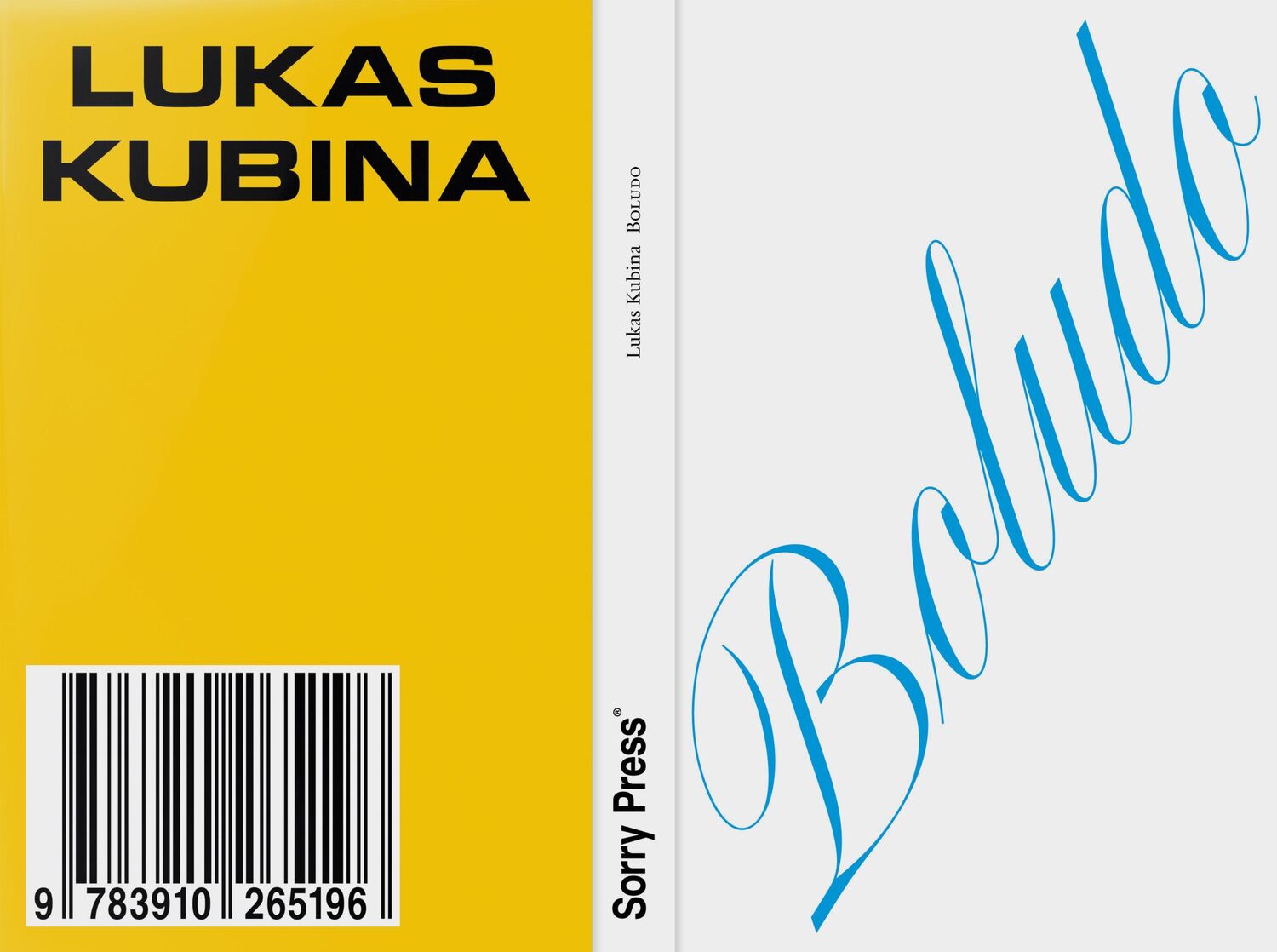 Cover: 9783910265196 | Boludo | Ruben Erlích Sein | Lukas Kubina | Taschenbuch | Deutsch