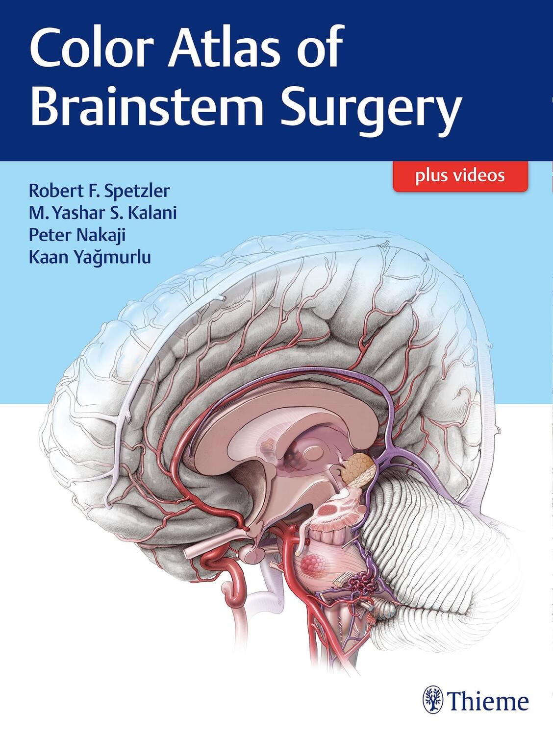 Cover: 9781626230279 | Color Atlas of Brainstem Surgery | Buch | Englisch | 2017