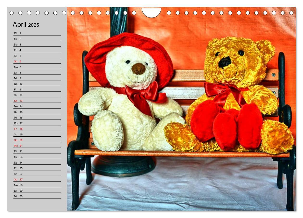 Bild: 9783435496068 | TEDDYBÄR, OH TEDDYBÄR... (Wandkalender 2025 DIN A4 quer), CALVENDO...