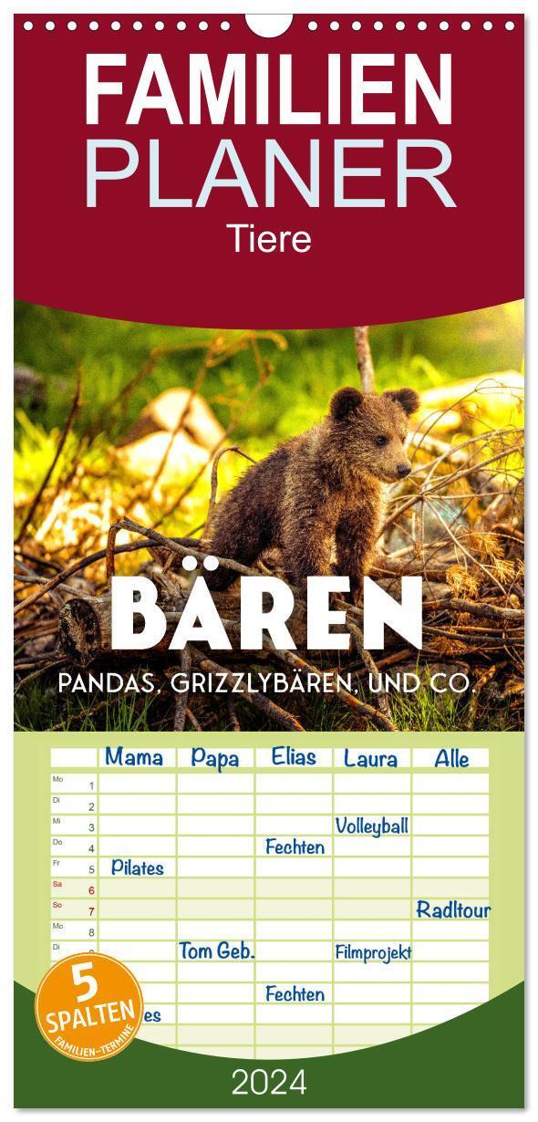Cover: 9783383660184 | Familienplaner 2024 - Bären - Pandas, Grizzlybären und Co. mit 5...