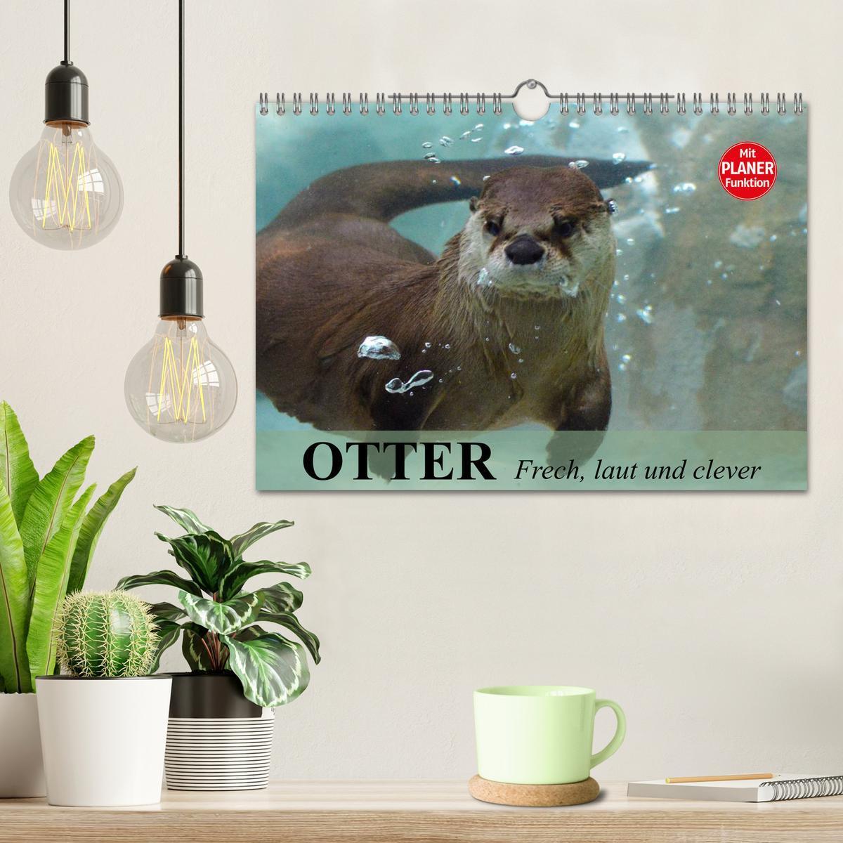 Bild: 9783435549931 | Otter. Frech, laut und clever (Wandkalender 2025 DIN A4 quer),...