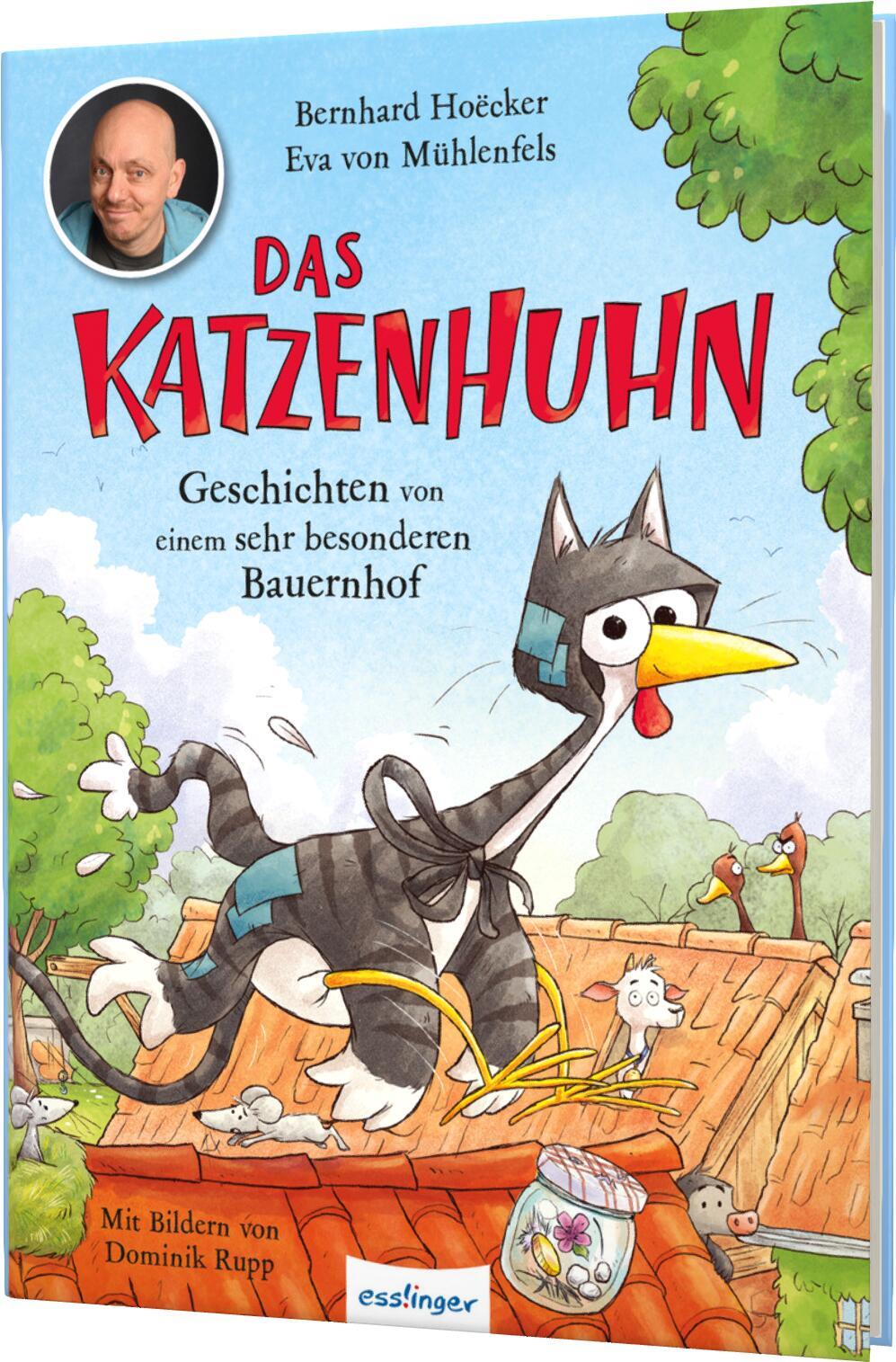 Cover: 9783480237982 | Das Katzenhuhn 1: Geschichten von einem sehr besonderen Bauernhof