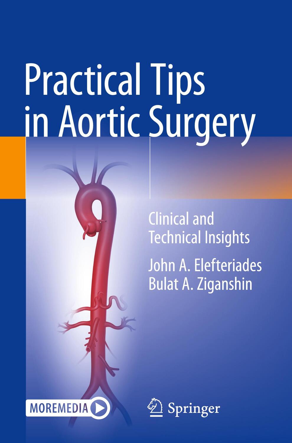 Cover: 9783030788797 | Practical Tips in Aortic Surgery | Clinical and Technical Insights