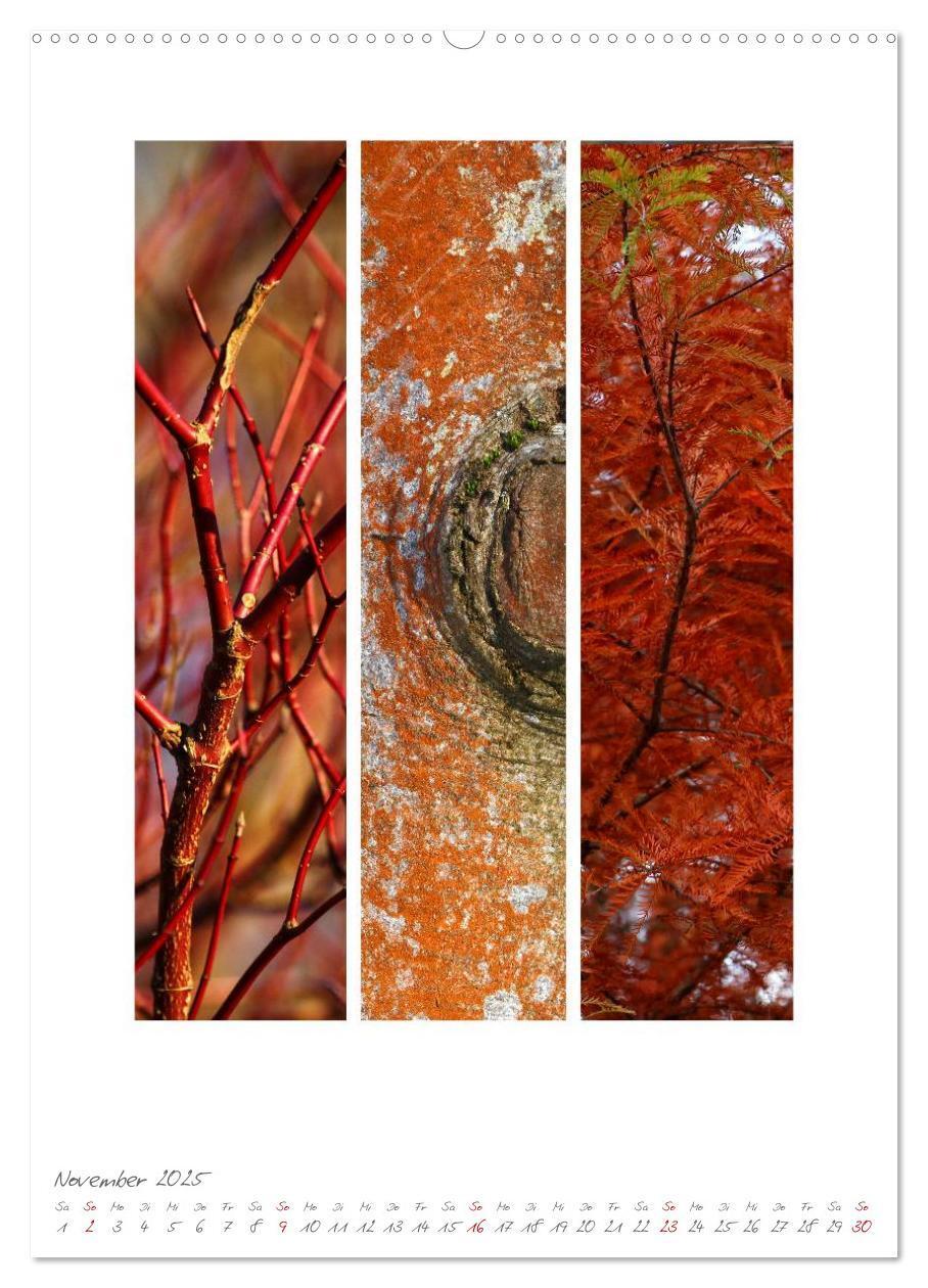 Bild: 9783457046609 | Natur Farben Dreiklang (Wandkalender 2025 DIN A2 hoch), CALVENDO...