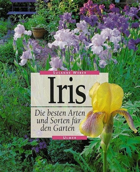 Iris - Weber, Susanne