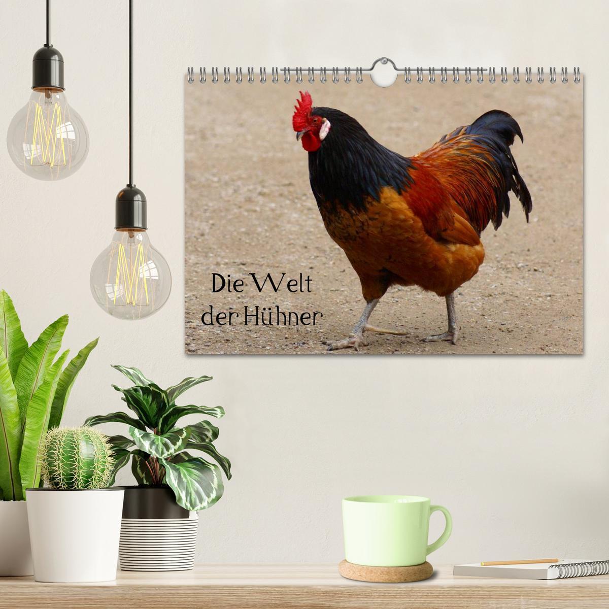 Bild: 9783435827879 | Die Welt der Hühner (Wandkalender 2025 DIN A4 quer), CALVENDO...