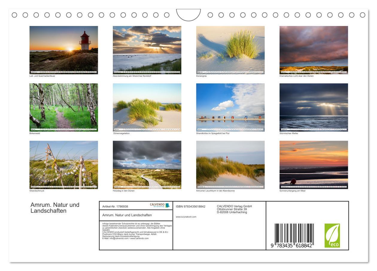 Bild: 9783435618842 | Amrum. Natur und Landschaften (Wandkalender 2025 DIN A4 quer),...