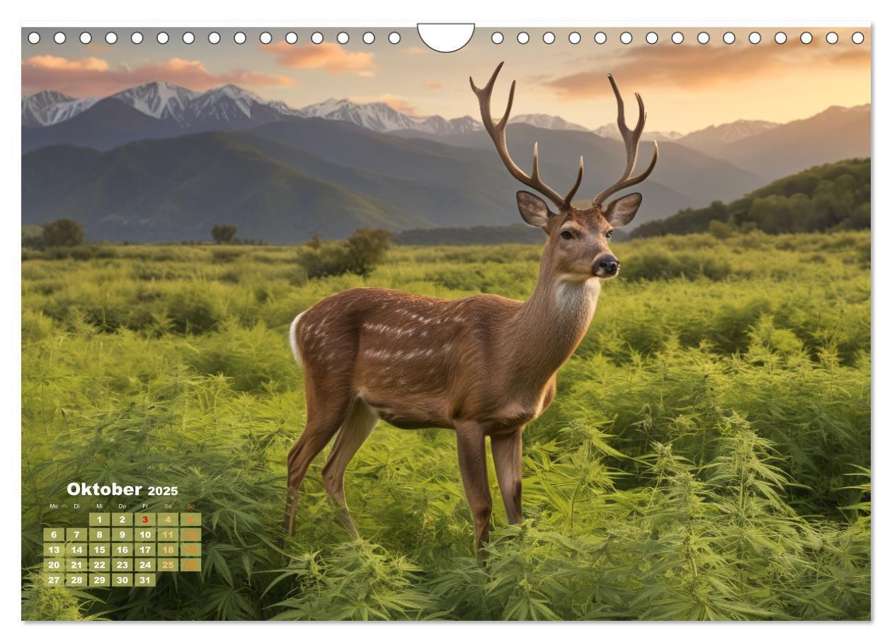 Bild: 9783383807060 | Wunderschöne Cannabisfelder (Wandkalender 2025 DIN A4 quer),...