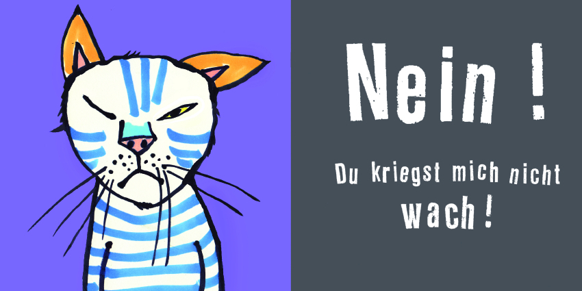 Bild: 9783836959650 | Schlaf, Kater, schlaf! | Antje Damm | Buch | Unzerr. | 26 S. | Deutsch