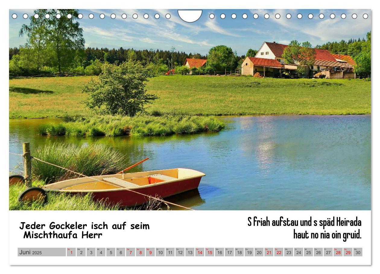 Bild: 9783383848568 | Schwäbische Sprichwörter 1 Wi ma hald so said! (Wandkalender 2025...