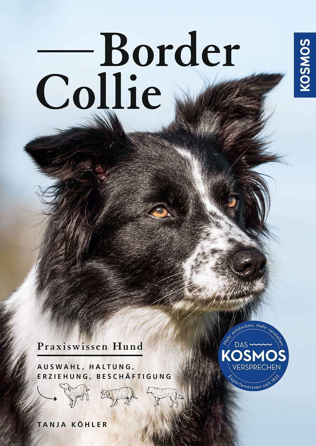 Cover: 9783440170038 | Border Collie | Auswahl, Haltung, Erziehung, Beschäftigung | Köhler