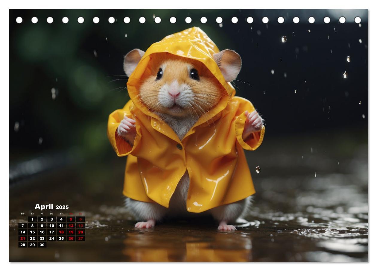 Bild: 9783383840357 | Hamstertage (Tischkalender 2025 DIN A5 quer), CALVENDO Monatskalender