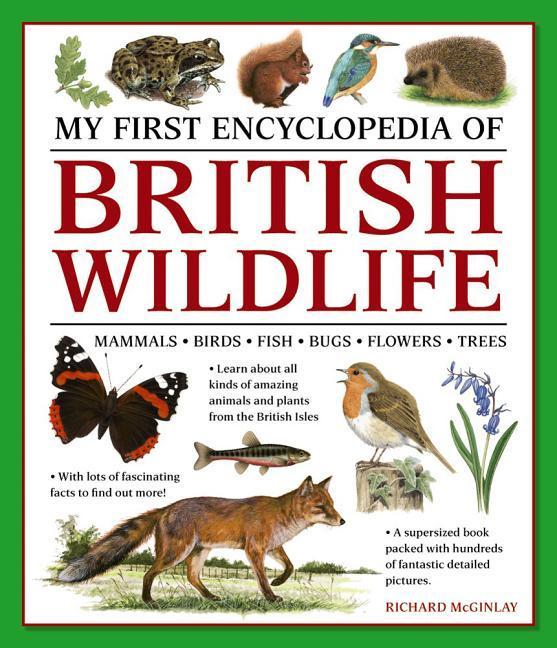 Cover: 9781861478498 | My First Encylopedia of British Wildlife | Richard Mcginlay | Buch