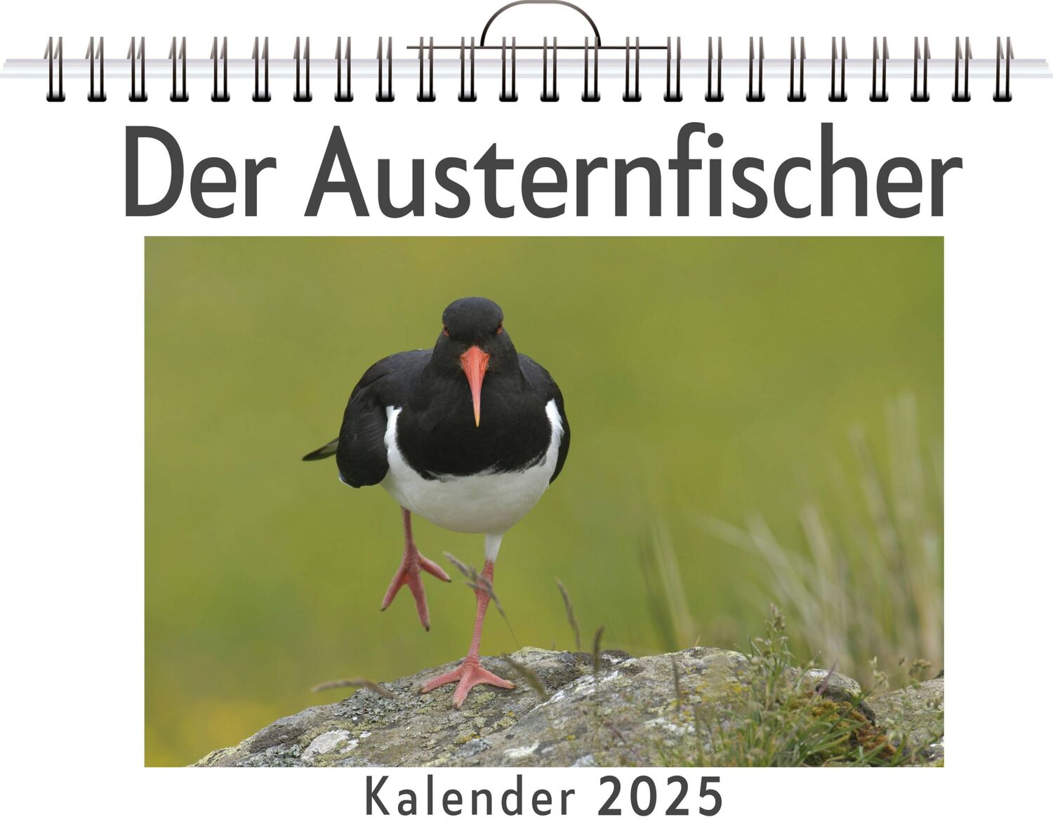 Cover: 9783759130372 | Der Austernfischer | Henry König | Kalender | Kalender | 14 S.