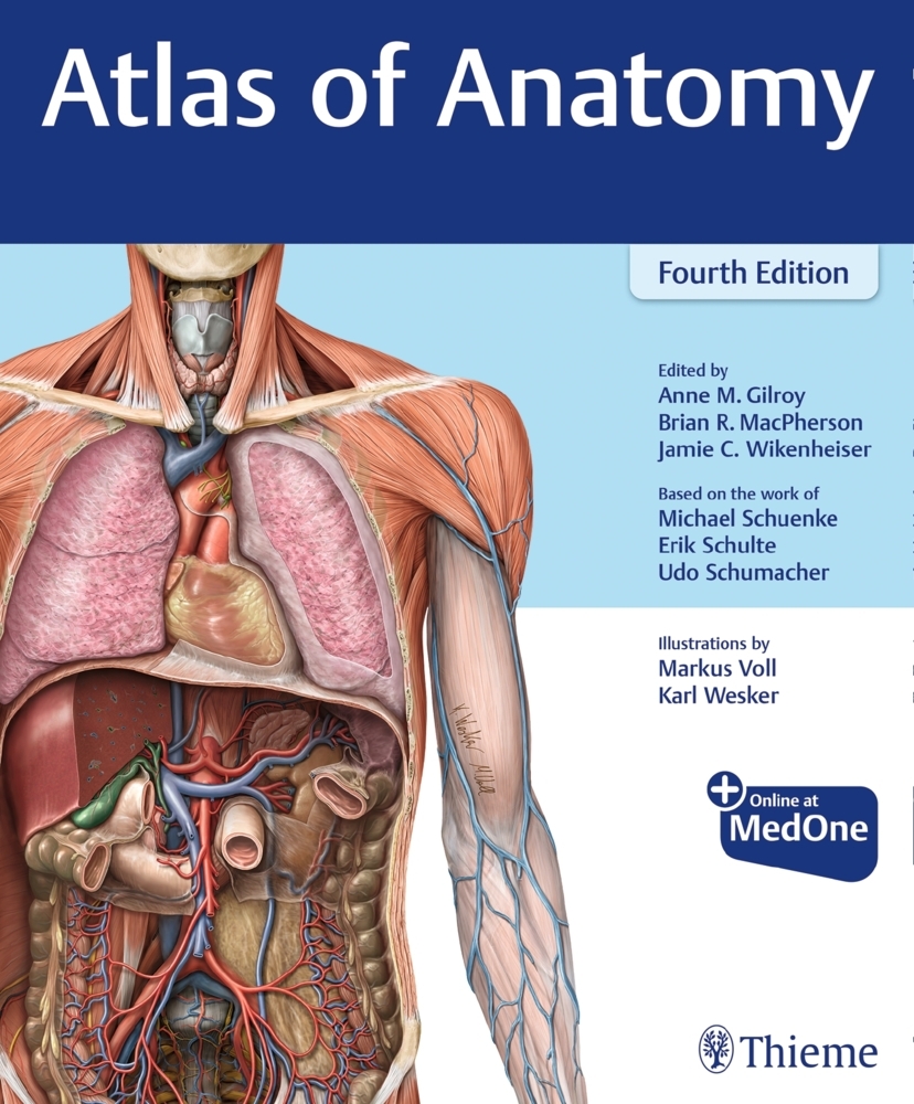 Cover: 9781684202034 | Atlas of Anatomy | Mit Online-Zugang | Anne M Gilroy (u. a.) | Bundle