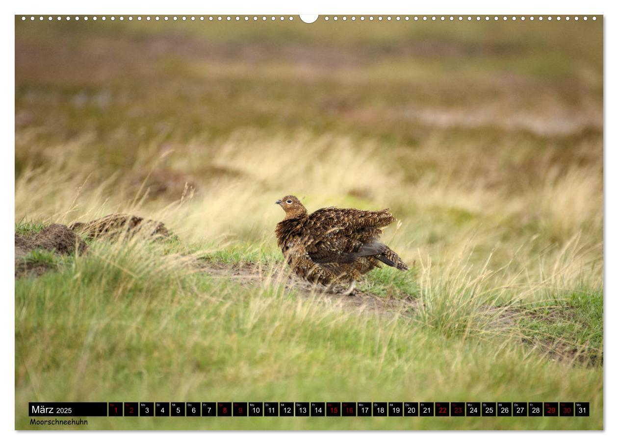 Bild: 9783435201099 | Traumhafte Yorkshire Dales (Wandkalender 2025 DIN A2 quer),...