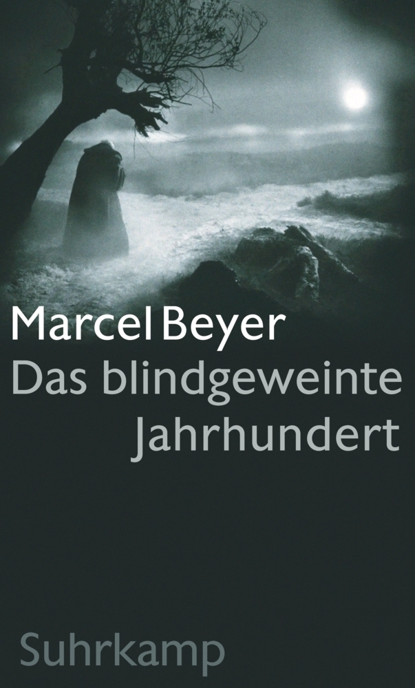 Cover: 9783518425787 | Das blindgeweinte Jahrhundert | Bild und Ton | Marcel Beyer | Buch