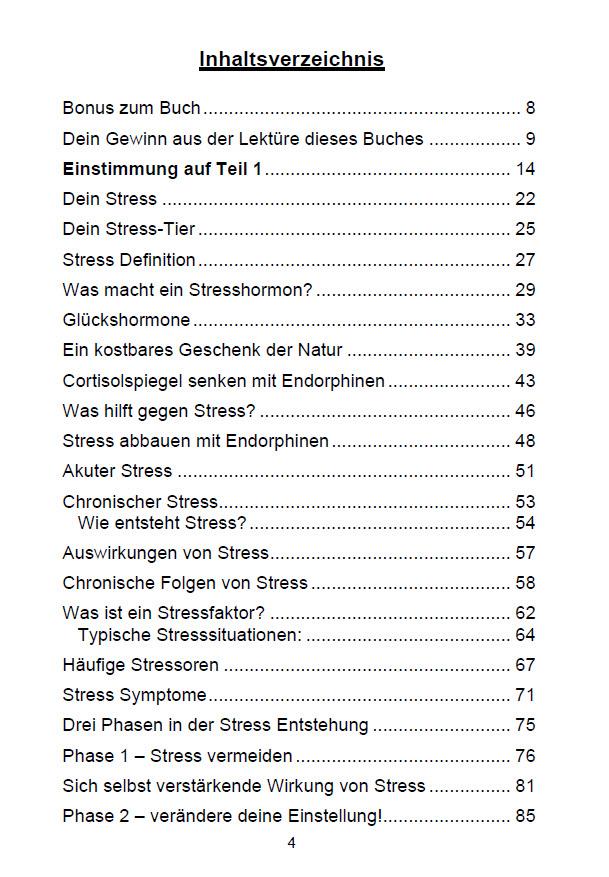 Bild: 9783967380927 | Stress abbauen und Stress vermeiden | Michelle Haintz | Taschenbuch