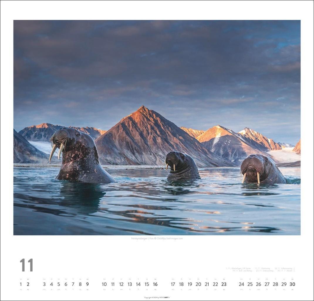 Bild: 9783839900956 | Norwegen Kalender 2025 - Im Land der Mitternachtssonne | Kalender