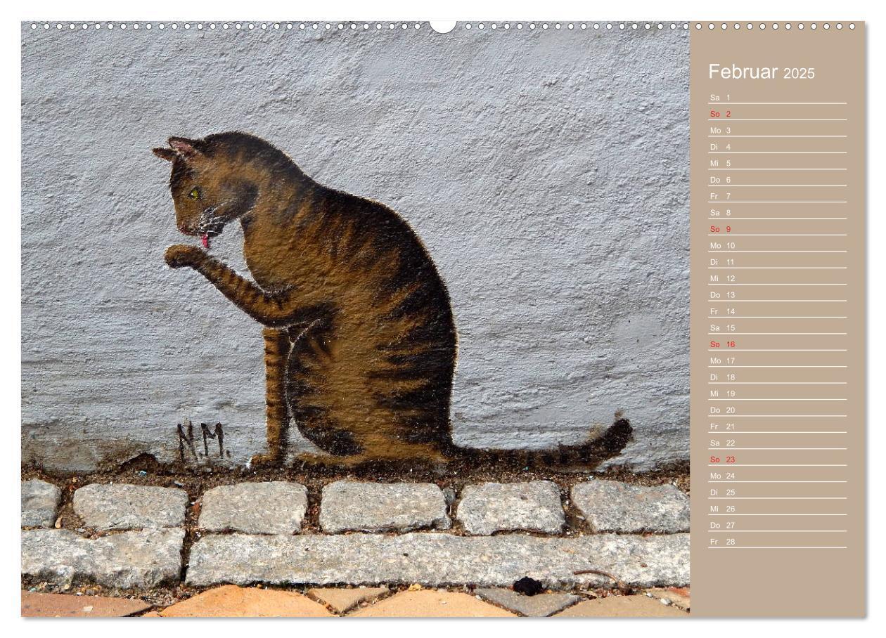 Bild: 9783435289691 | Flensburger Katzen (Wandkalender 2025 DIN A2 quer), CALVENDO...