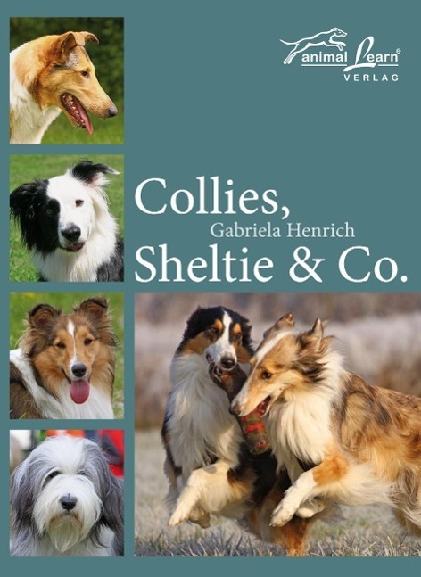 Cover: 9783936188578 | Collies, Sheltie & Co. | Gabriela Henrich | Buch | Deutsch | 2012