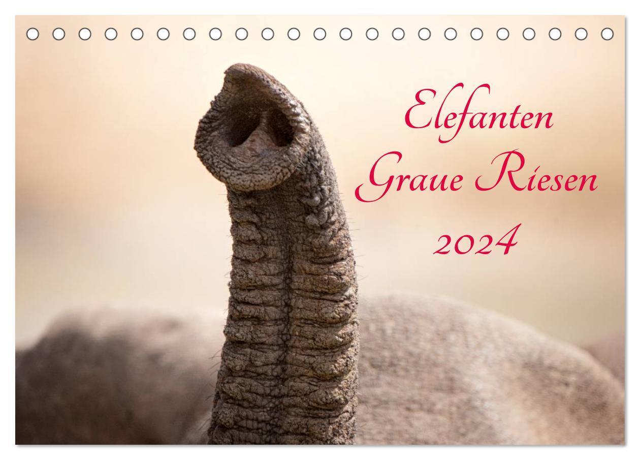 Cover: 9783383352003 | Elefanten - Graue Riesen (Tischkalender 2024 DIN A5 quer), CALVENDO...