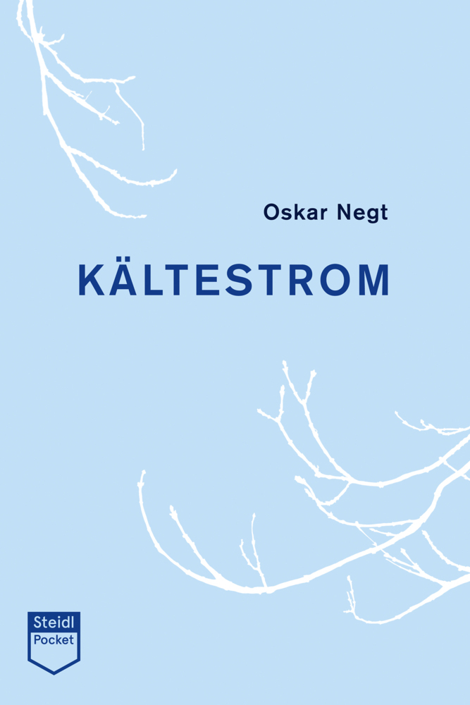 Cover: 9783958297296 | Kältestrom | Oskar Negt | Taschenbuch | 2020 | Steidl