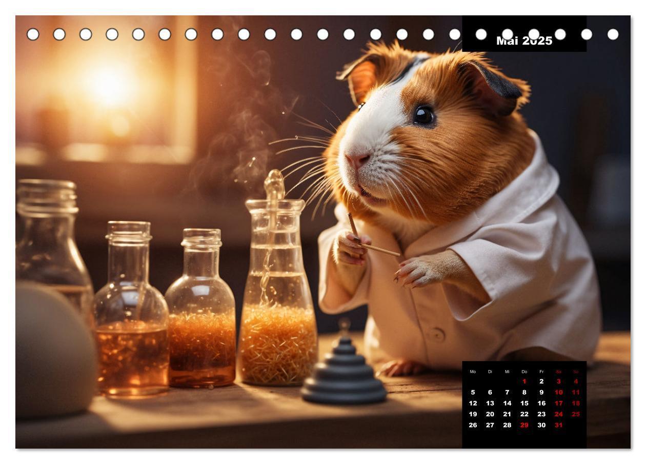 Bild: 9783435013135 | Meerschweinchen mal anders! (Tischkalender 2025 DIN A5 quer),...