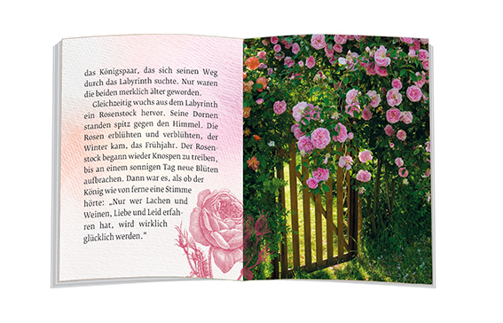 Bild: 9783987000188 | Das Geheimnis der Rose | Ulrich Peters | Taschenbuch | Deutsch | 2023