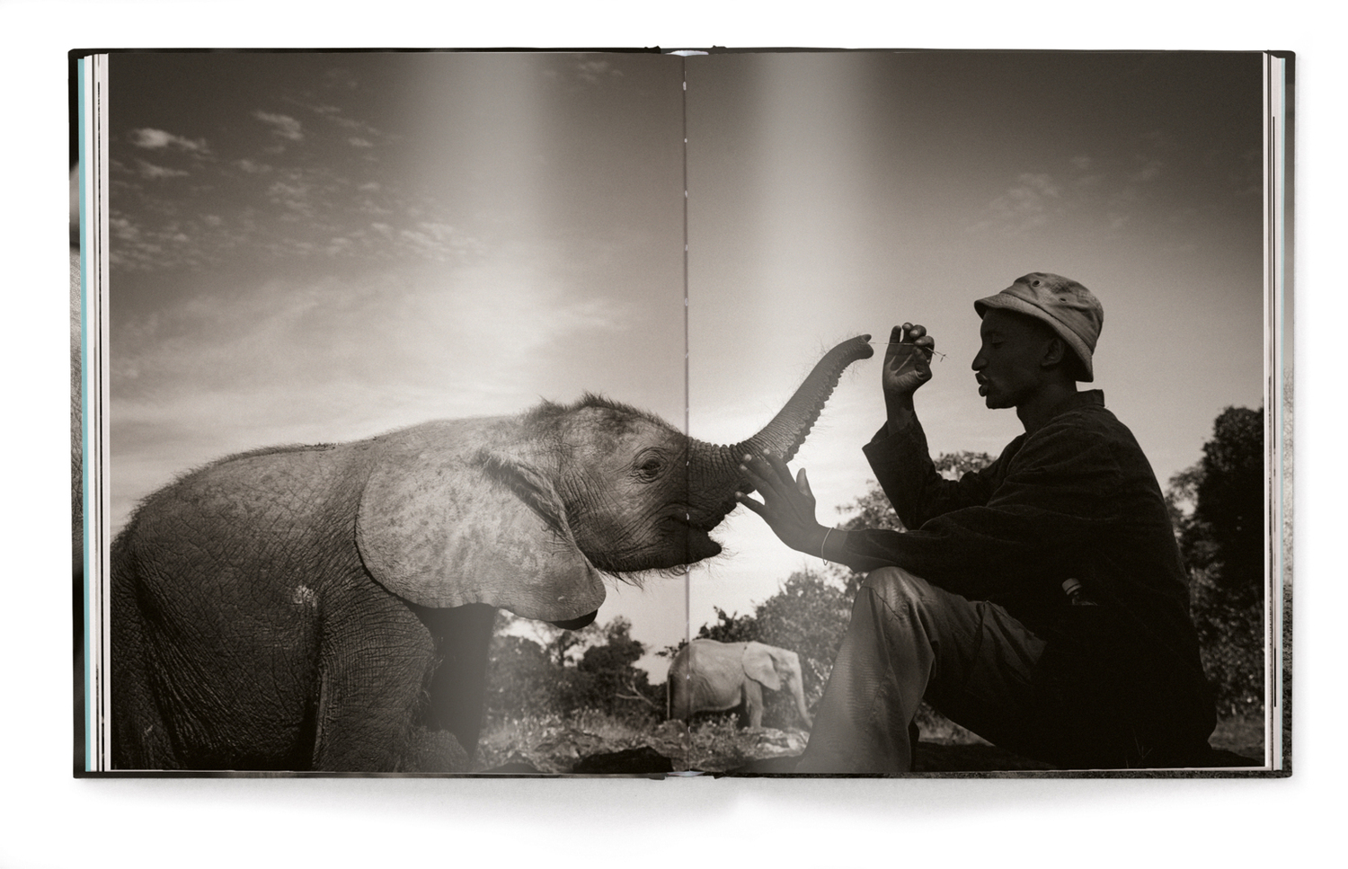 Bild: 9783961710478 | Elephants in Heaven | Joachim Schmeisser | Buch | 176 S. | Deutsch