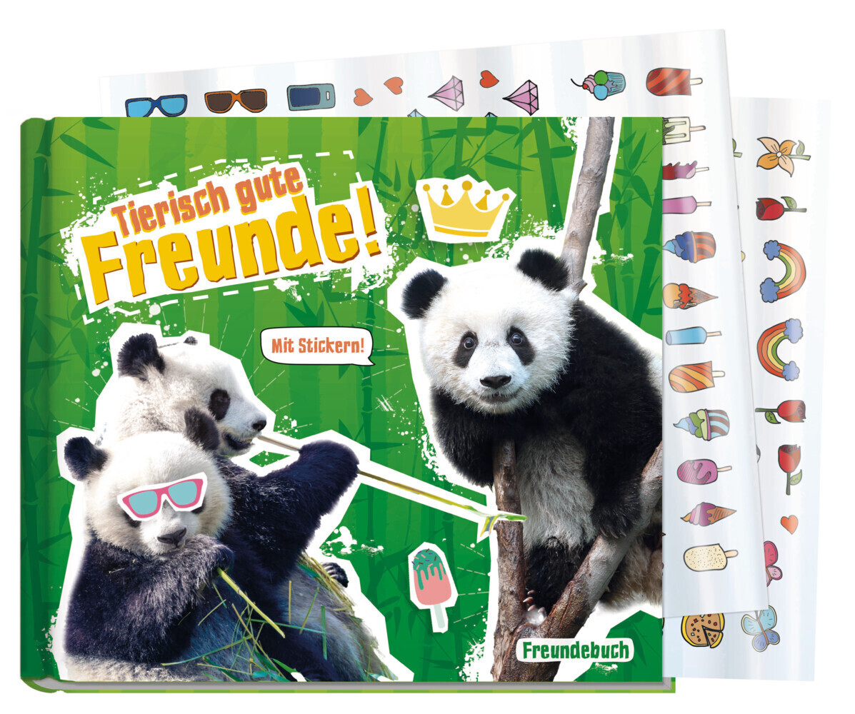 Cover: 9783866797864 | Lernfreunde Tierisch gute Freunde [Panda] | Andreas Reiter | Broschüre