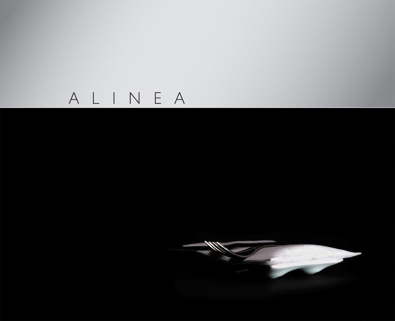 Cover: 9781580089289 | Alinea | Grant Achatz (u. a.) | Buch | Englisch | 2008