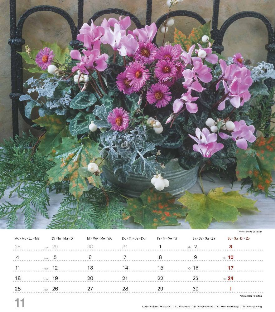 Bild: 4251732335144 | Blumenträume 2024 - Foto-Kalender - Wand-Kalender - 30x34 -...