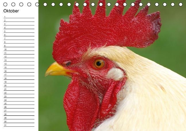 Bild: 9783660532074 | Hühner / Geburtstagskalender (Tischkalender immerwährend DIN A5 quer)