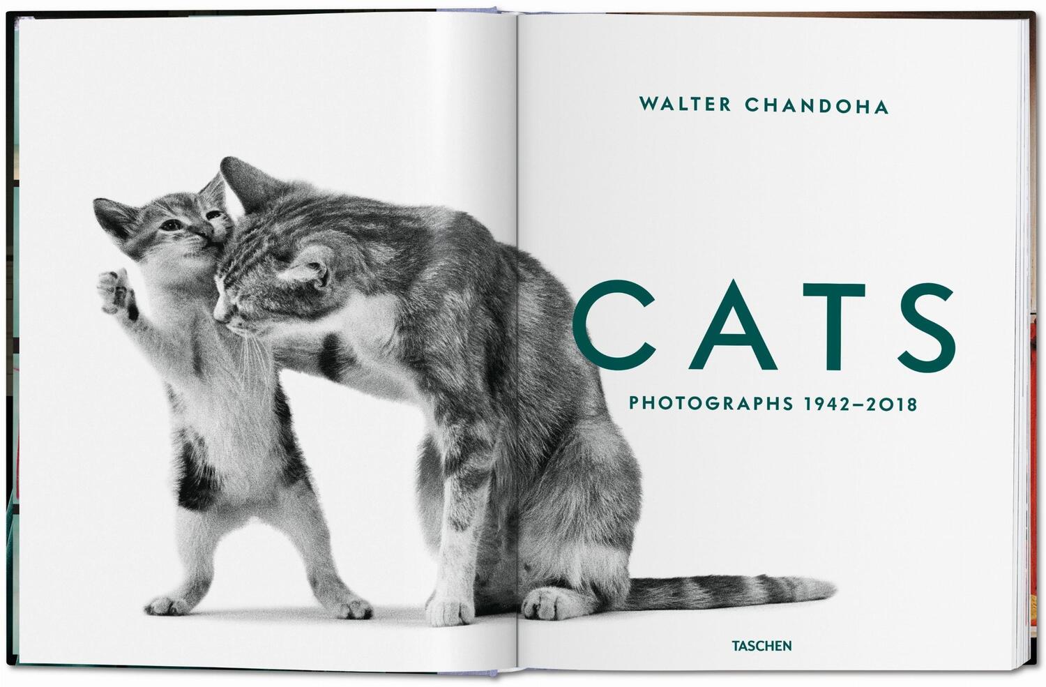 Bild: 9783836573856 | Walter Chandoha. Cats. Photographs 1942-2018 | Susan Michals | Buch
