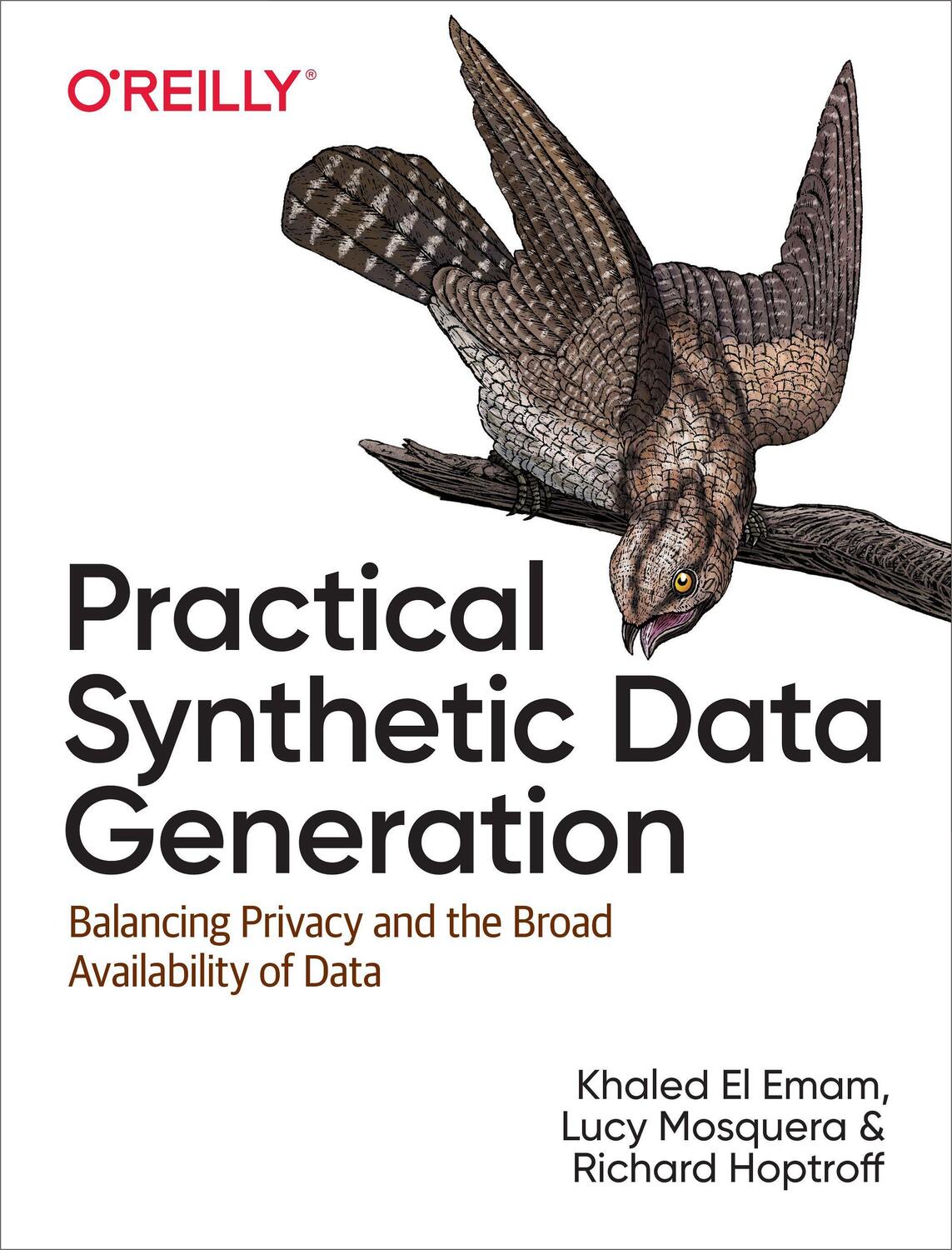Cover: 9781492072744 | Practical Synthetic Data Generation | Khaled El Emam (u. a.) | Buch