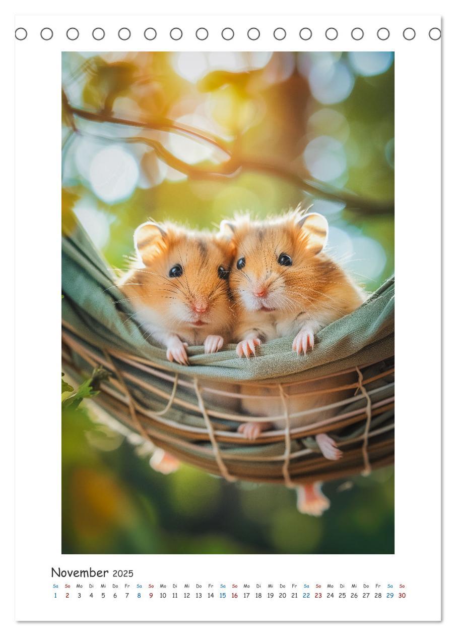 Bild: 9783435086962 | Lustige kleine Hamster (Tischkalender 2025 DIN A5 hoch), CALVENDO...