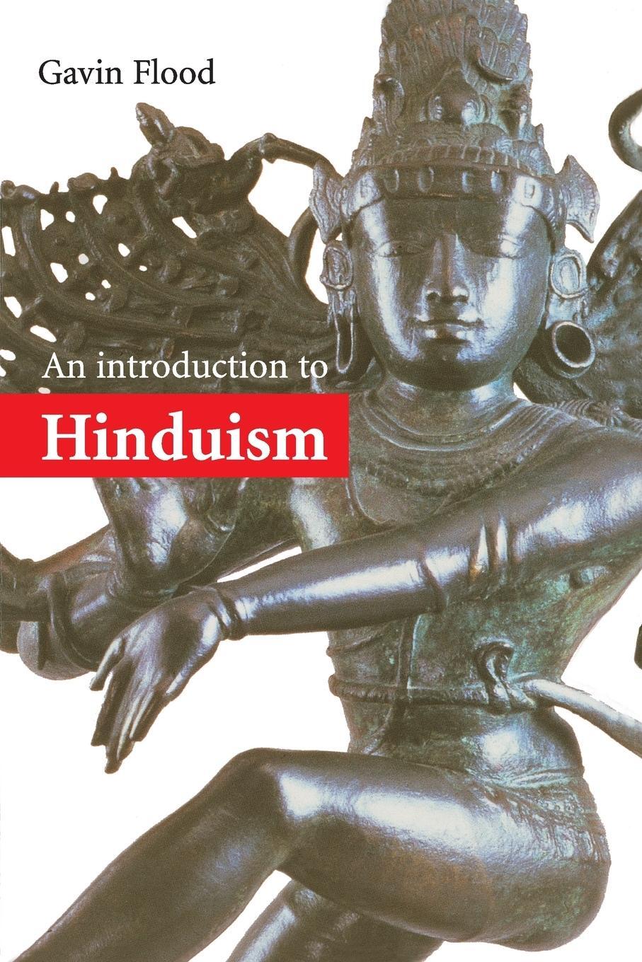 Cover: 9780521438780 | An Introduction to Hinduism 1ed | Gavin D. Flood | Taschenbuch | 2018