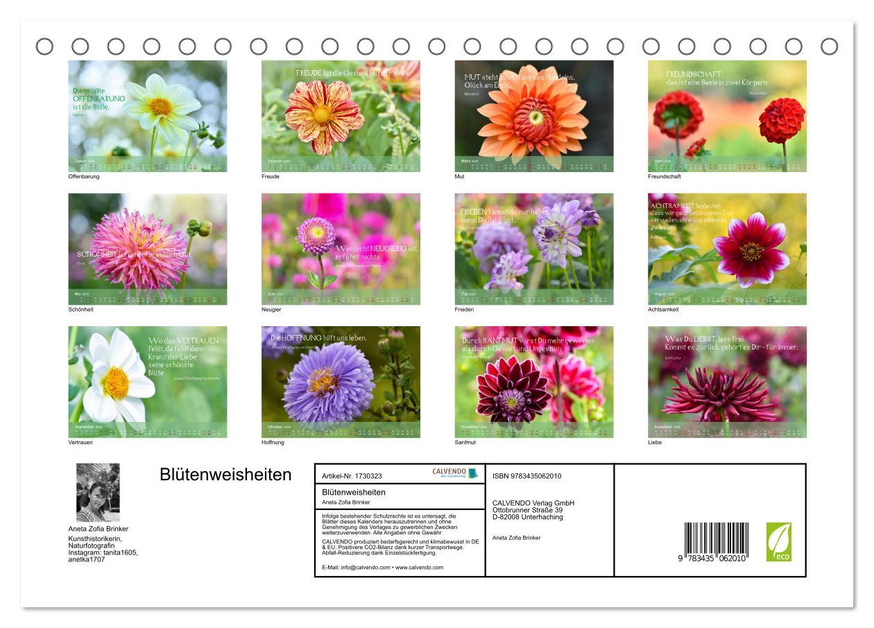 Bild: 9783435062010 | Blütenweisheiten (Tischkalender 2025 DIN A5 quer), CALVENDO...