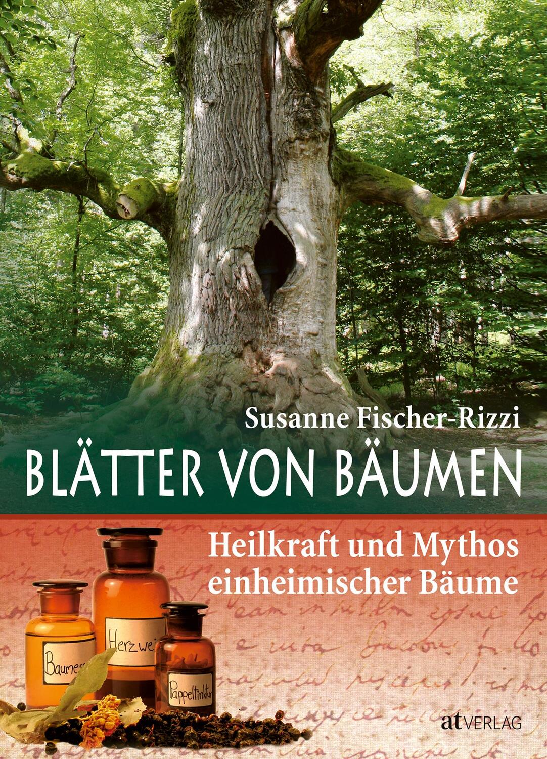 Cover: 9783038003434 | Blätter von Bäumen | Heilkraft und Mythos einheimischer Bäume | Buch