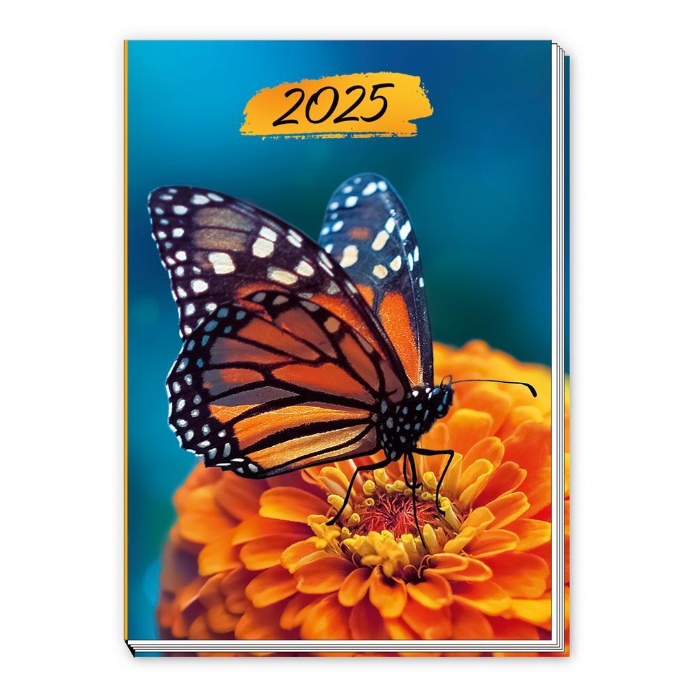 Cover: 4251901506948 | Trötsch Taschenkalender A7 Schmetterling 2025 | Mini-Terminkalender