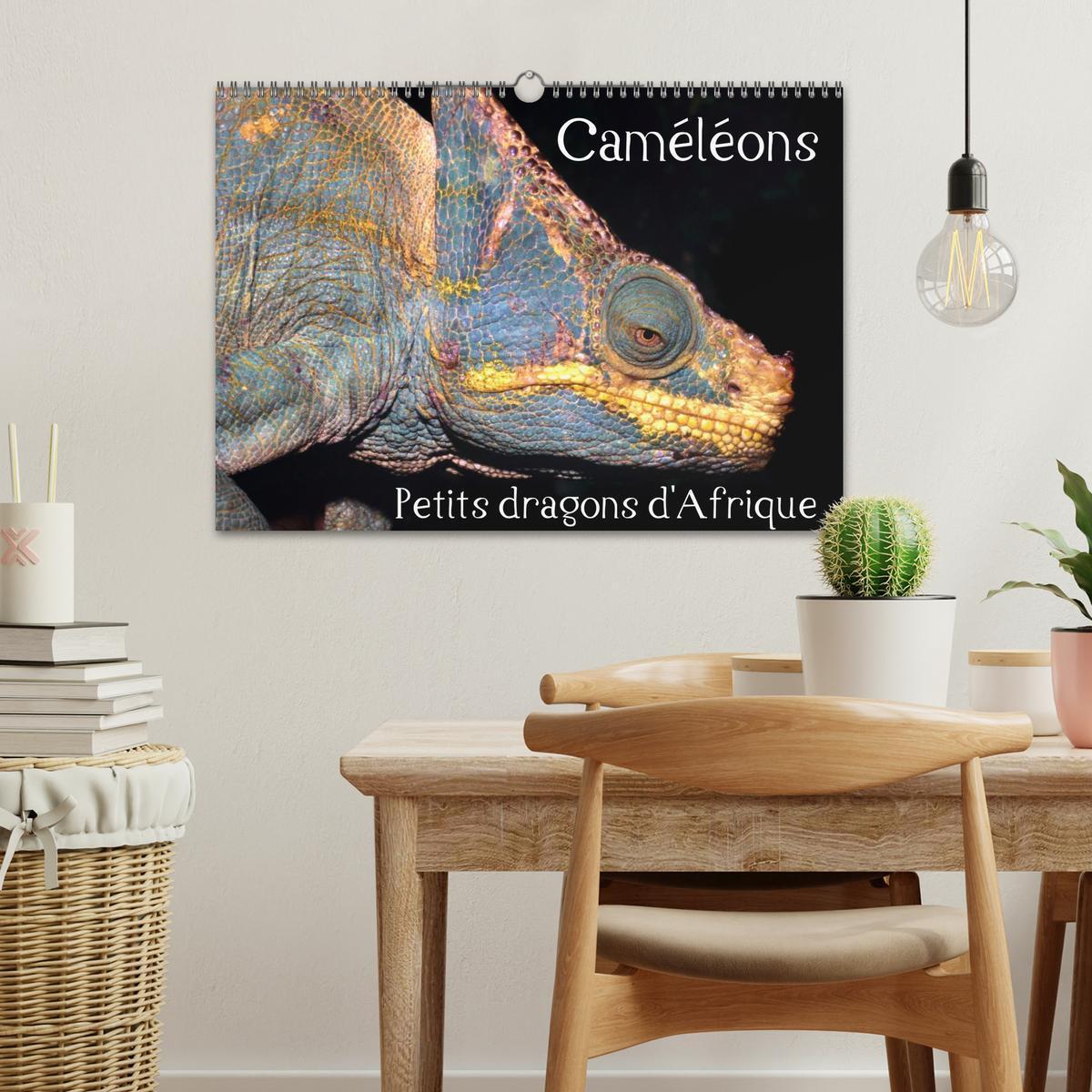 Bild: 9781325954407 | Caméléons - Petits dragons d'Afrique. (Calendrier mural 2025 DIN A3...