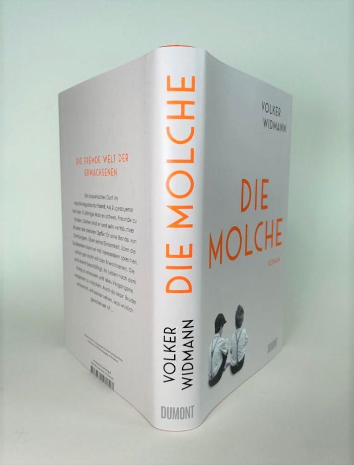 Bild: 9783832181727 | Die Molche | Roman | Volker Widmann | Buch | Deutsch | 2022