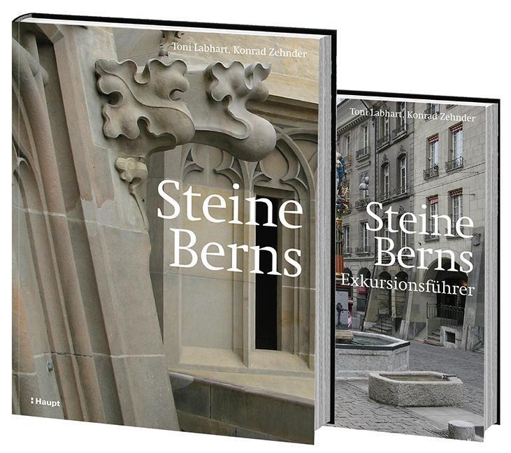 Cover: 9783258080642 | Steine Berns | Toni/Zehnder, Konrad Labhart | Buch | 276 S. | Deutsch