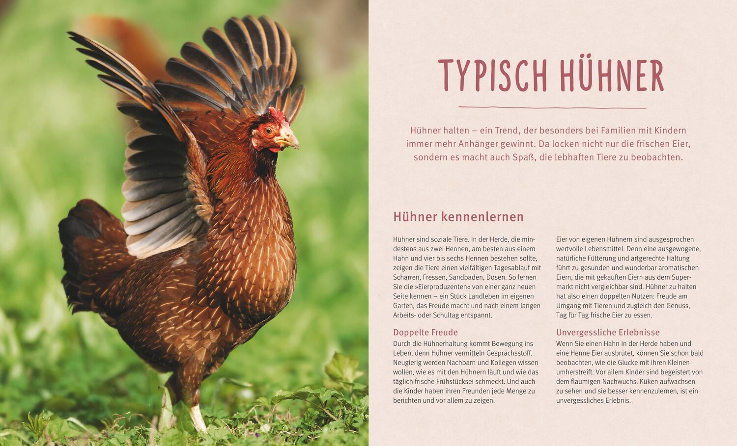 Bild: 9783833848469 | Hühner halten | Das Rundum-Sorglos-Paket | Michael von Lüttwitz | Buch